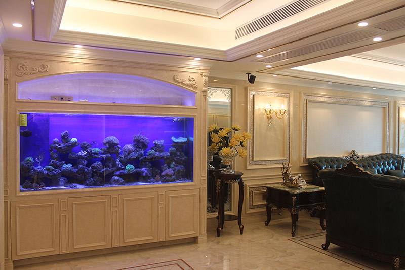 廣州金海灣實景圖-魚缸